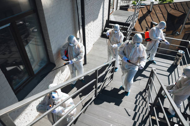 Best Commercial Mold Inspection  in Wurtsboro, NY