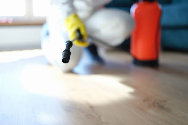 Best Mold Removal for HVAC Installations  in Wurtsboro, NY
